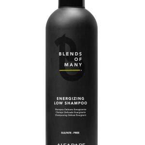 Alfaparf Blends of Many Szampon do włosów dla mężczyzn energetyzujący 250ml